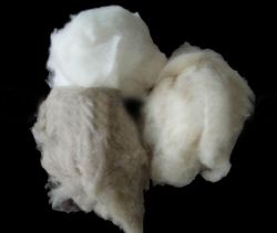 dehaired cashmere fibre