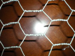 Hexagonal wire mesh