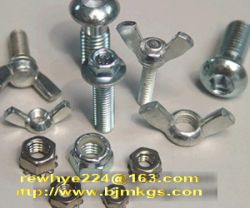 Titanium Fastening