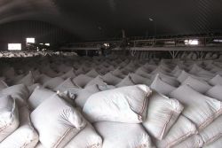 Sell high quality cement OPC from China