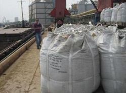 Sell portland cement