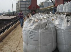 sell high grade portland cement 42.5