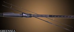 carp rods, fishing rods