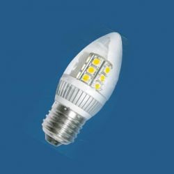 Business LED Energy Saving Bulb 