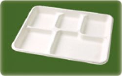 biodegradable disposable tableware