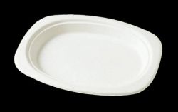 biodegradable disposable tableware