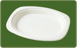 bagasses disposable tableware