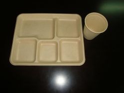 biodegradable tableware(tray,cap,bowl,plate,box)