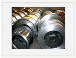 Sell galvanized steel coil, sheet