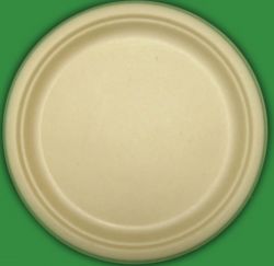 disposable tableware