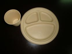 eco-friendly tableware