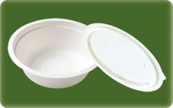 bagasses disposable tableware