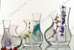 Home Decoration Glass Vase