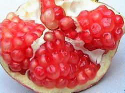 Pomegranate Extract