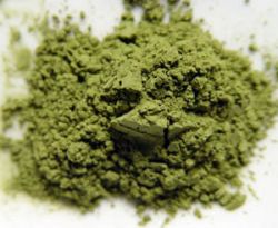 Matcha Tea Powder