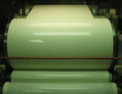 Prepainted Steel Coil 