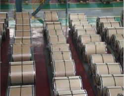 Hot Dip Galvanzied Steel Coil 