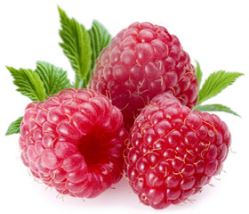  Raspberry Extract Powder