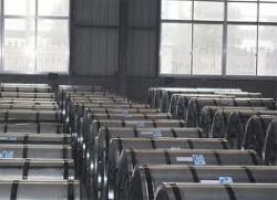 hot-dipped galvanized steel coil