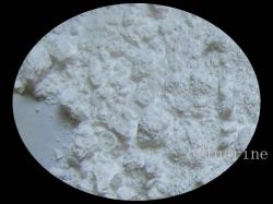 PVDF powder