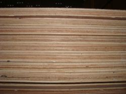 hardwood plywood china supplier,veneer supplier