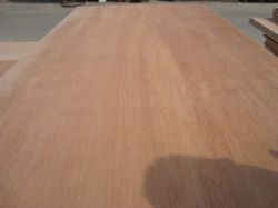 Brown Film Face Plywood Cheaper Price 18mm