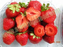 IQF strawberry or frozen strawberry