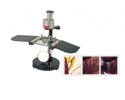 Dissection Microscopes