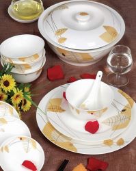 porcelain dinnerware