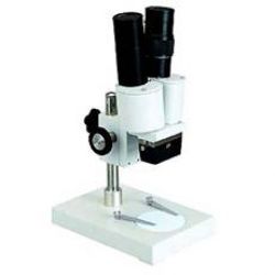 Stereo Microscope