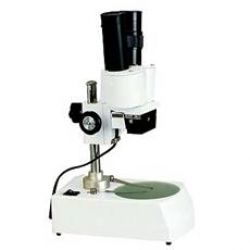 Stereo Microscope