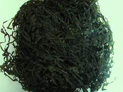 dried shredded seakelp