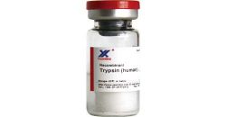 Trypsin,recombinant Human Trypsin