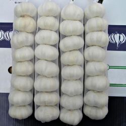Chinese Fresh White Garlic (good for health)