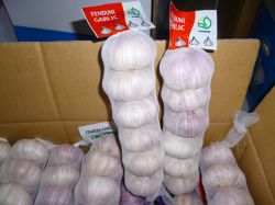 Chinese Fresh Garlic -all kinds packages