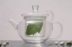 Glass Tea Pot