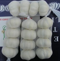 Jinxiang Fresh White Garlic - 1kg/bag