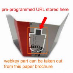 Usb Flyer Paper Web Key With Url Pharma Drive Ad