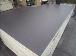 1250*2500mm film faced plywood