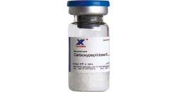 Carboxypeptidase B,recombinant Carboxypeptidase B 