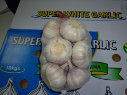 Chinese Fresh Garlics ( Global Gap, HACCP)