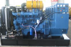 Ricardo series diesel generator set