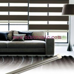 Motorized Sheer Roller Blinds | Bintronic