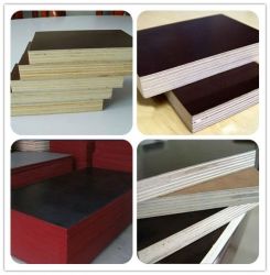 Film Faced Plywood Commercial Plywood