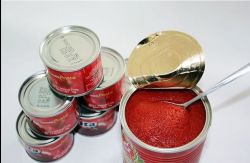 China 400g tin tomato paste