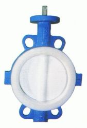 PTFE Coated Butterfly valve