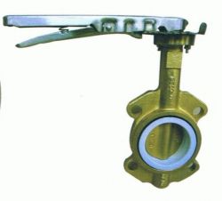 Wafer(Lug)Butterfly Valve