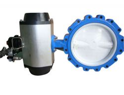 Wafer(Lug)Butterfly Valve