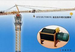 Sell Tower Crane Qtz125 