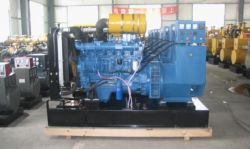 Ricardo diesel generator 